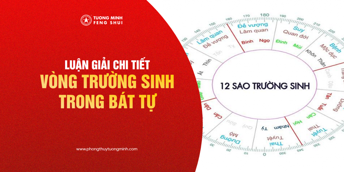 Vòng Trường Sinh Trong Bát Tự: Hiểu Biết Sâu Hơn Để Cải Thiện Cuộc Sống