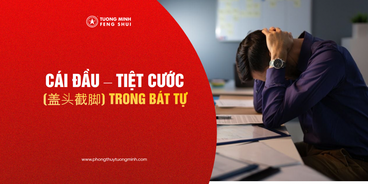 Cái Đầu - Tiệt Cước Trong Bát Tự