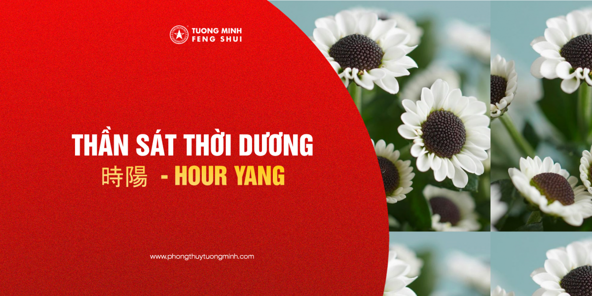 Thần Sát Thời Dương - 時陽 - Hour Yang