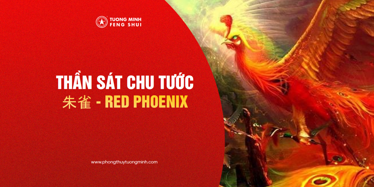 Thần Sát Chu Tước - 朱雀 - Red Phoenix