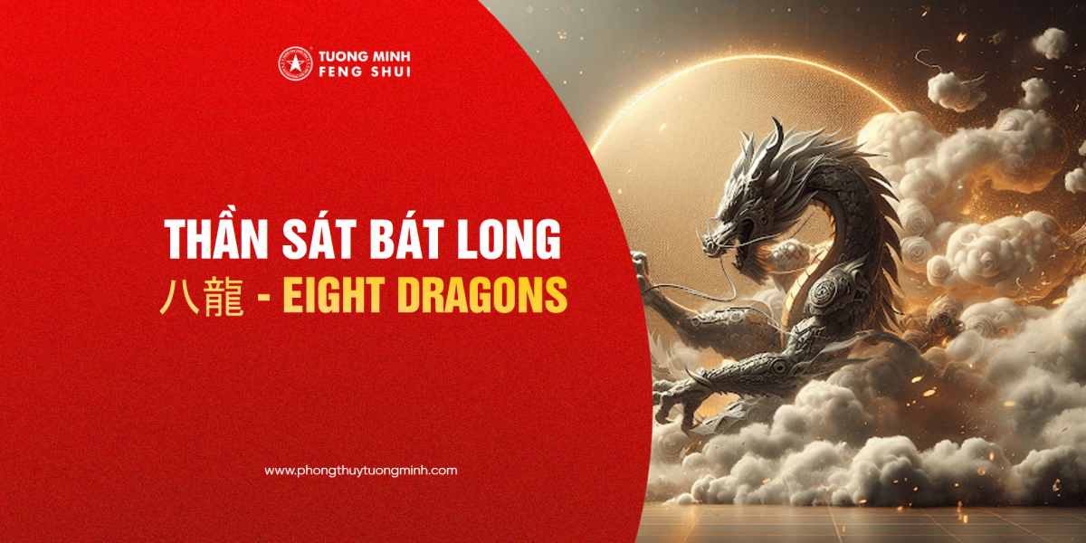 Thần Sát Bát Long - Eight Dragons - 八龍