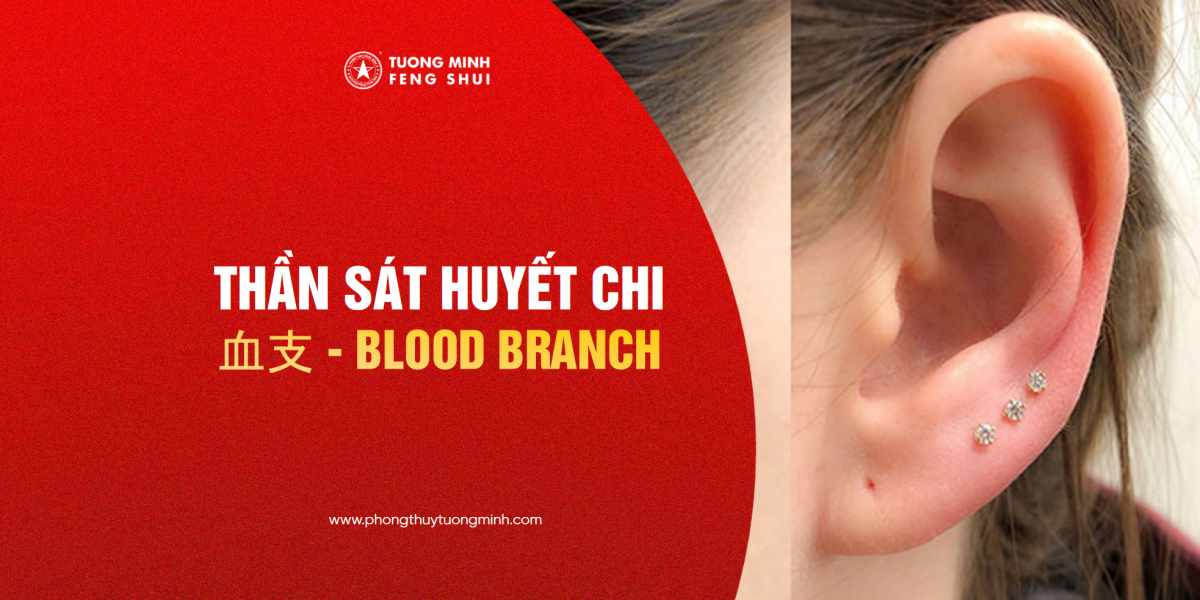 Thần Sát Huyết Chi - 血支 - Blood Branch