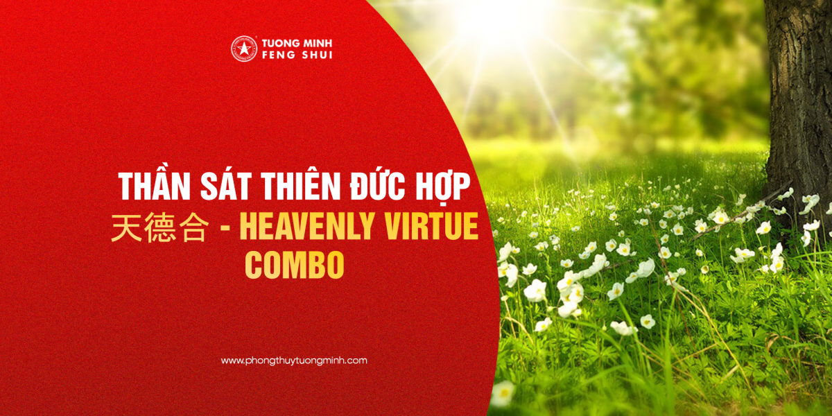 Thần Sát Thiên Đức Hợp - 天德合 - Heavenly Virtue Combo