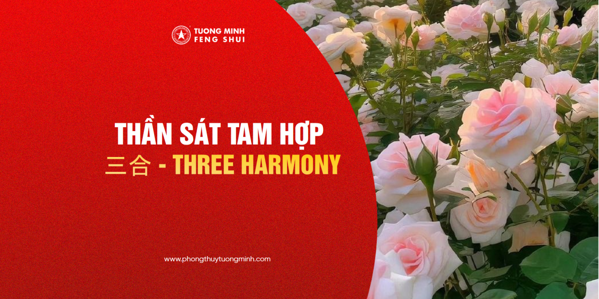 Thần Sát Tam Hợp - 三合 - Three Harmony