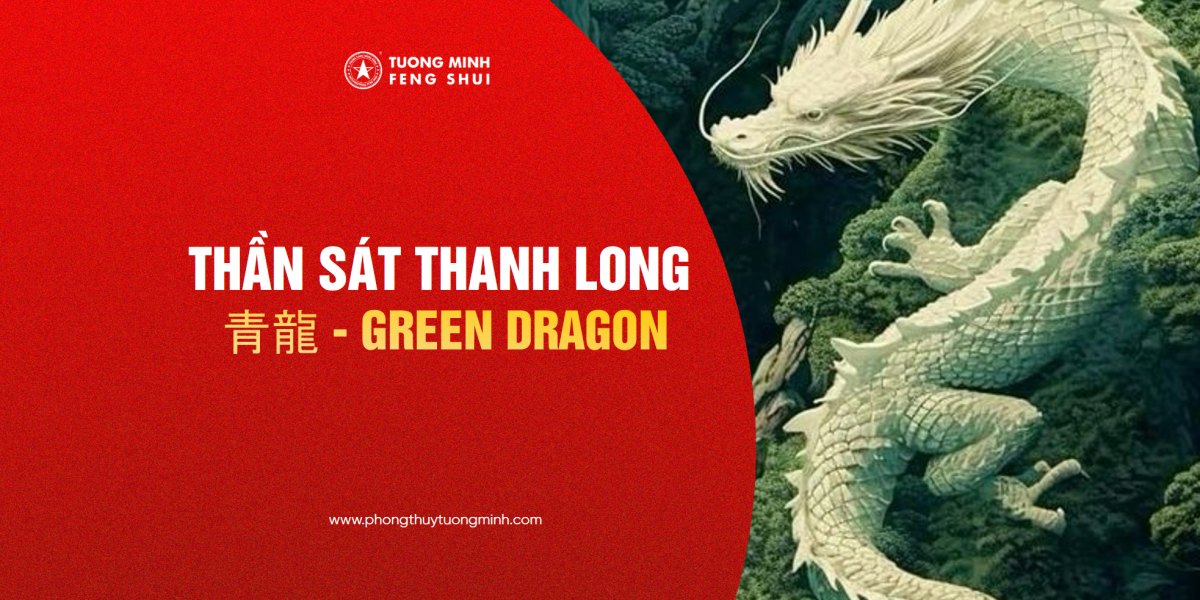 Thần Sát Thanh Long - 青龍 - Green Dragon