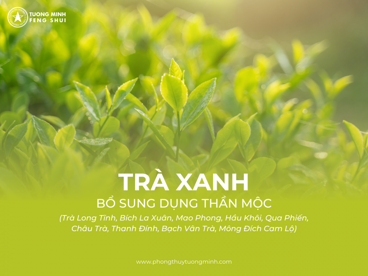 Trà - Bổ Sung Dụng Thần Bát Tự