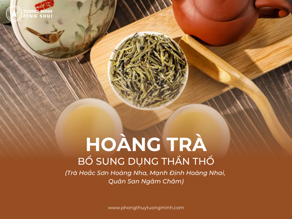 Trà - Bổ Sung Dụng Thần Bát Tự