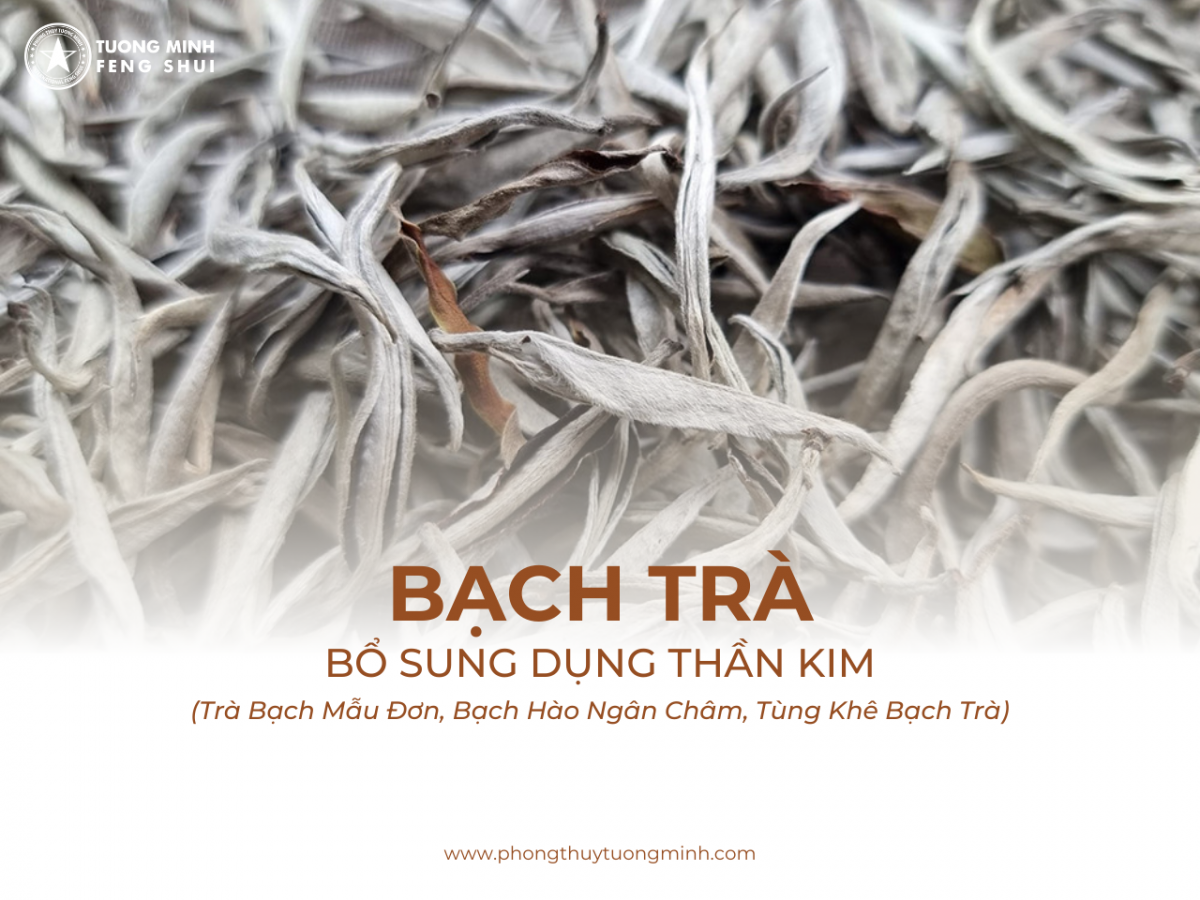 Trà - Bổ Sung Dụng Thần Bát Tự