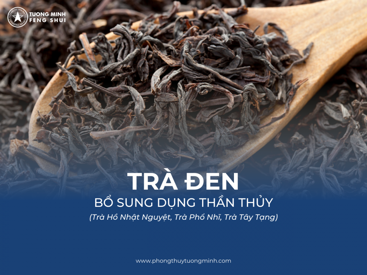 Trà - Bổ Sung Dụng Thần Bát Tự