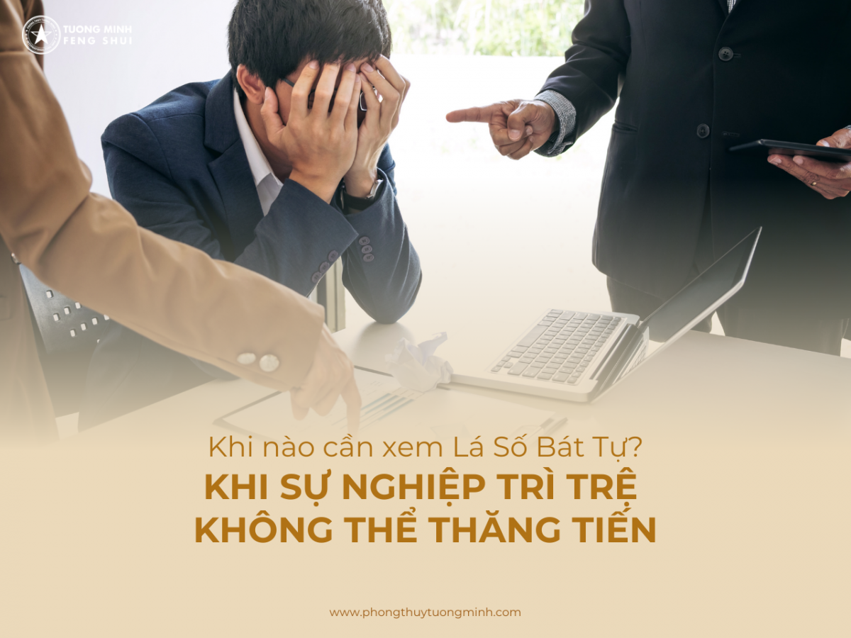 Khi Nào Bạn Cần Xem Lá Số Bát Tự?