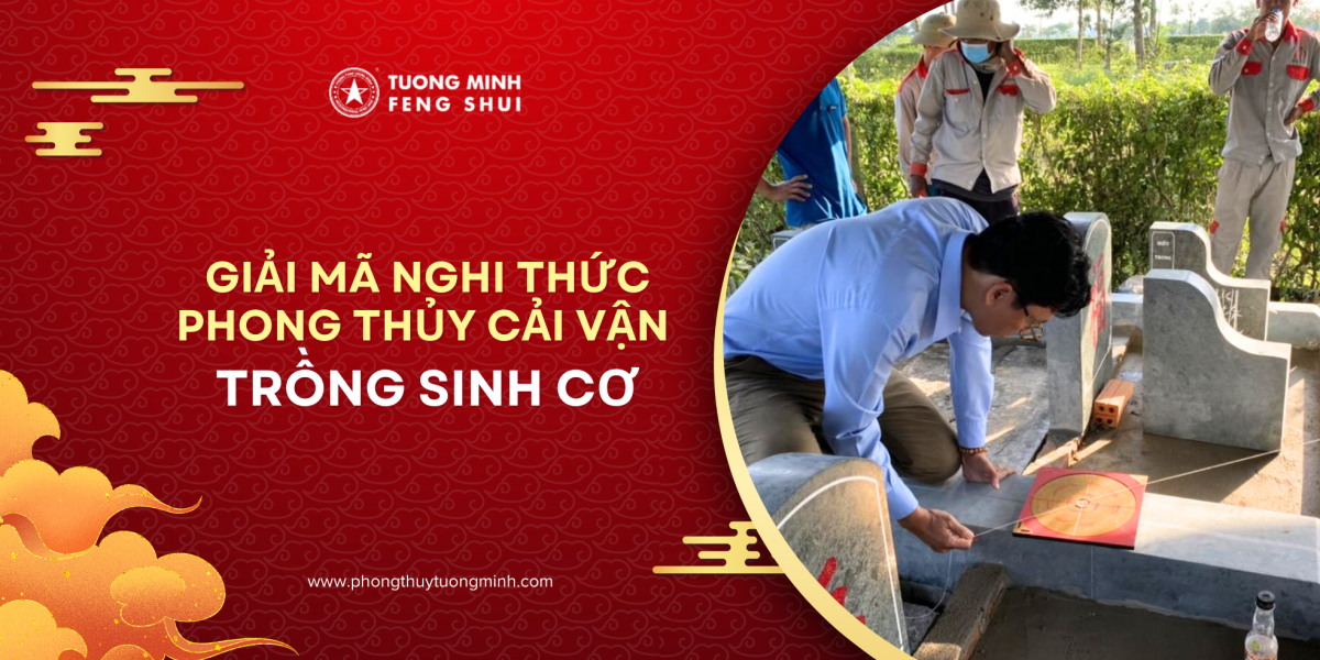 Sinh Cơ là gì? Giải mã nghi thức Phong Thủy cải vận 