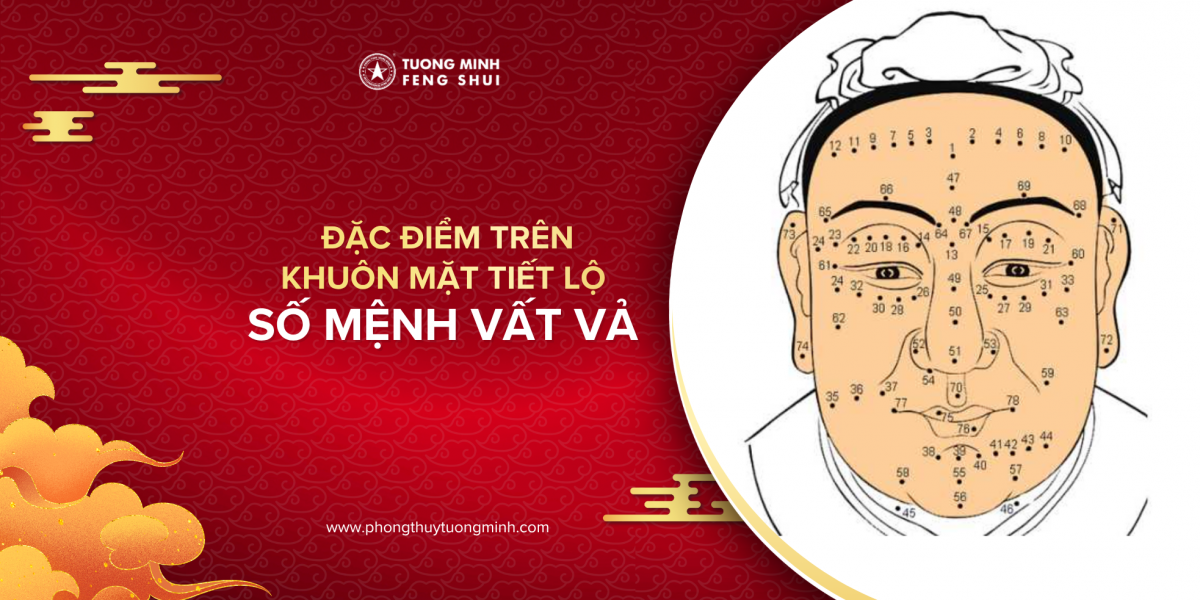 Những đặc điểm trên khuôn mặt tiết lộ bạn là người có số mệnh vất vả!